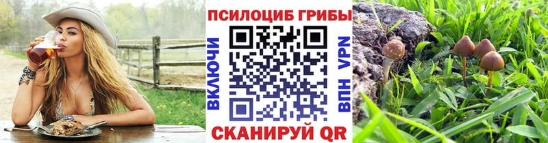 Галлюциногенные грибы Psilocybe Суджа