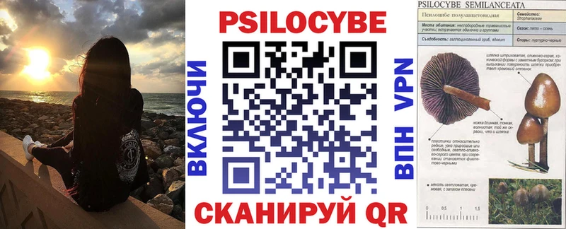 купить закладку  Суджа  Галлюциногенные грибы мухоморы 