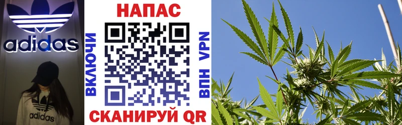 МАРИХУАНА гибрид  Суджа 